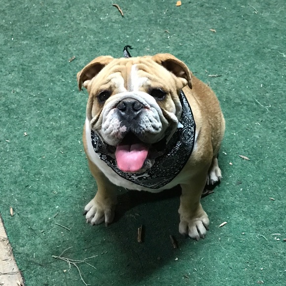 Meet your Posher, Karina - Picture 3 of 3